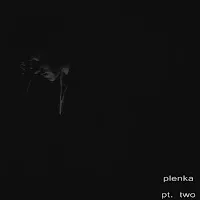 Plenka — Cyberdisco — обложка